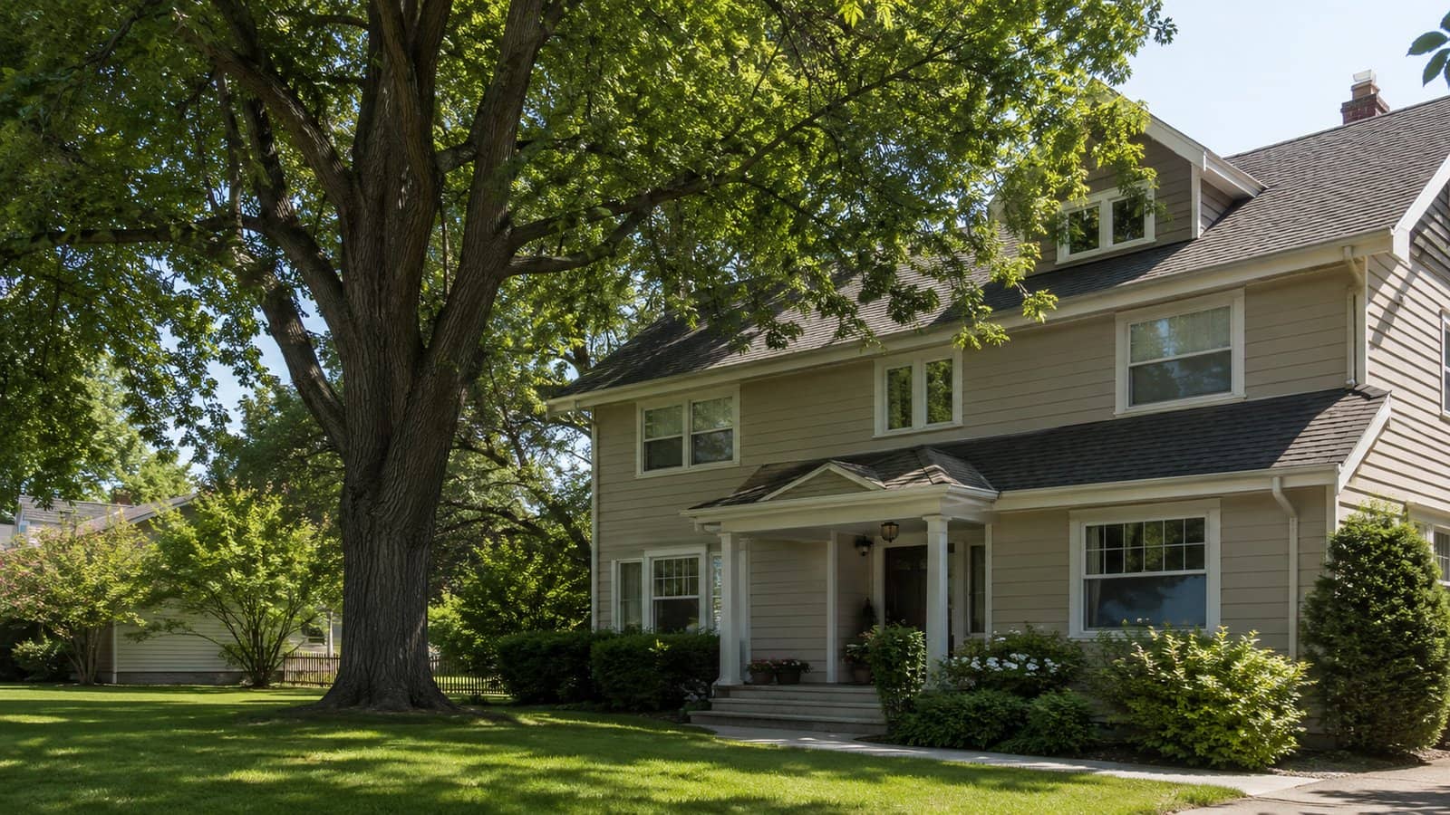 How Close Can You Plant a Tree to Your House?