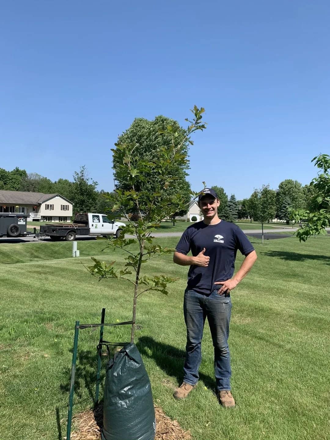 Arborist tree work by Wellner Arboriculture in Withee, WI