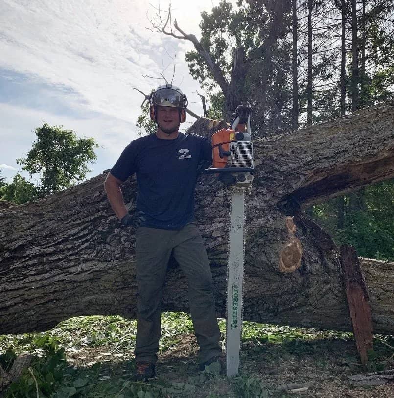 Tree service by Wellner Arboriculture in Greenwood, WI