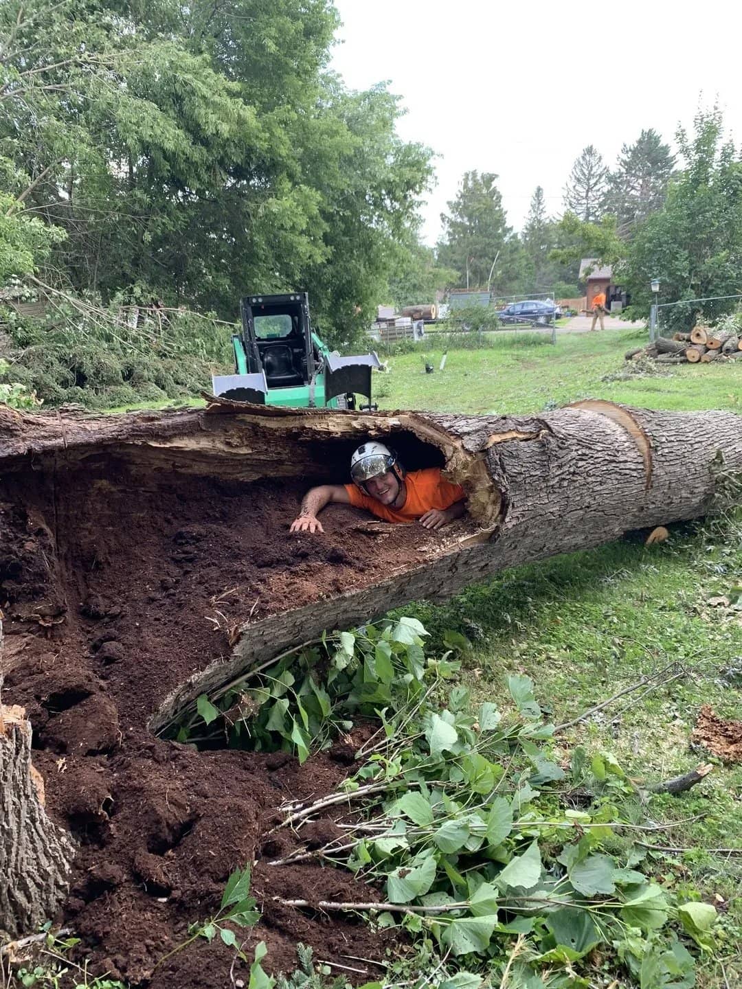 Tree service by Wellner Arboriculture in Eau Claire, WI
