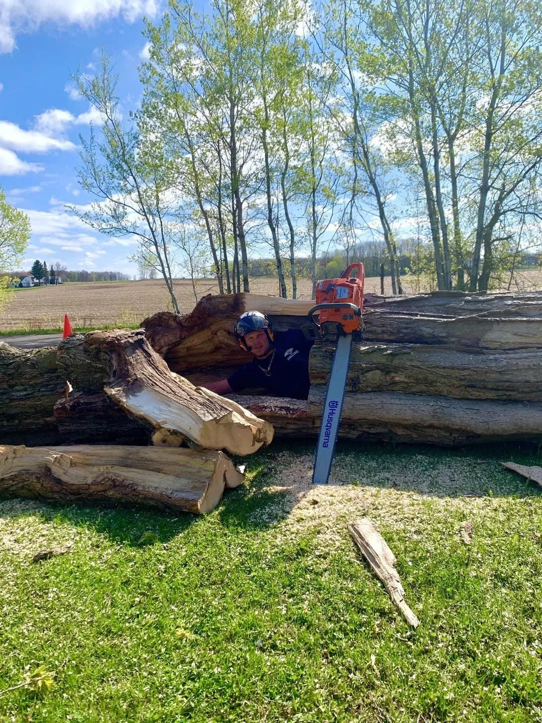 Wellner Arboriculture tree service in Chippewa Falls, WI