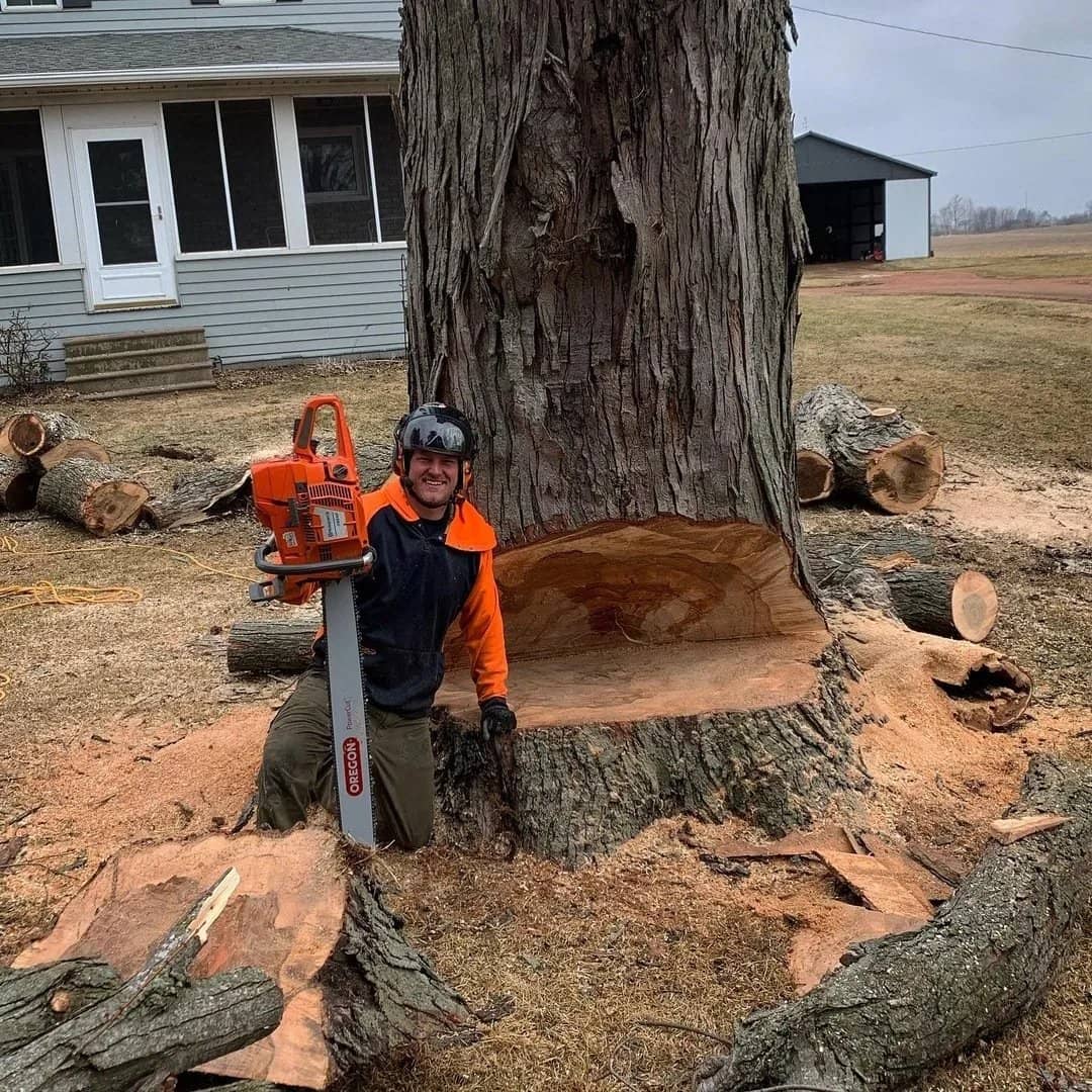 Tree care by Wellner Arboriculture in Boyd, WI