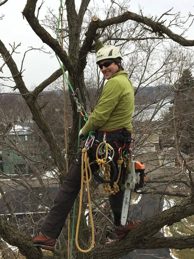 Tree service by Wellner Arboriculture in Lake Hallie, WI