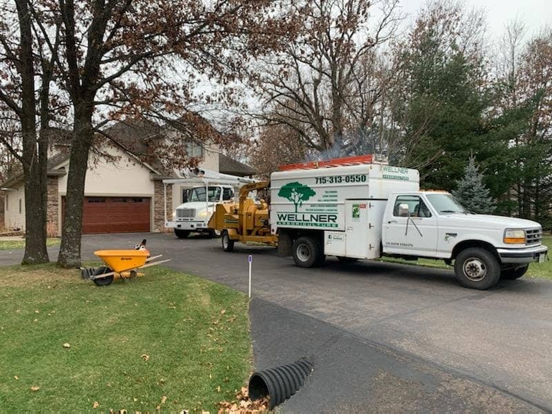 Wellner Arboriculture tree service in Bloomer, WI