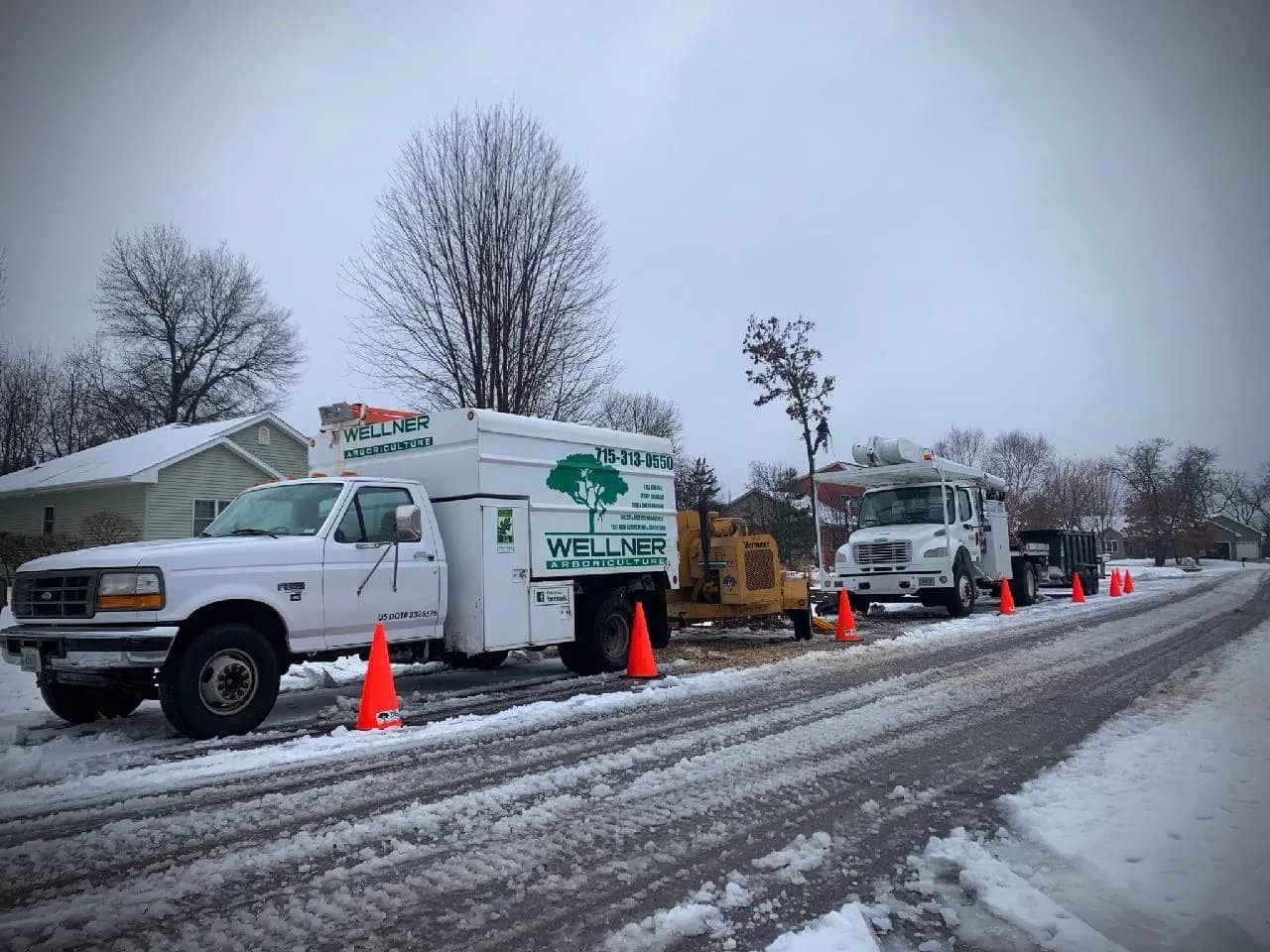 Tree care by Wellner Arboriculture in Cadott, WI