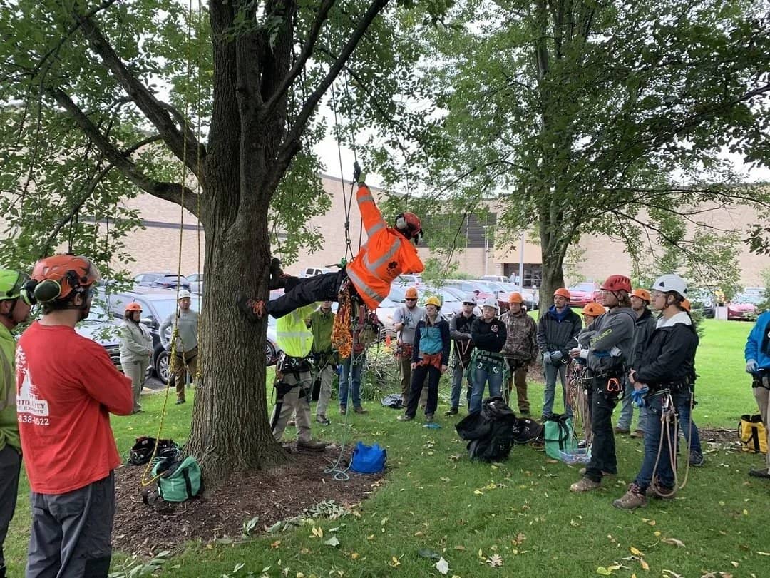 Tree service by Wellner Arboriculture in Cornell, WI
