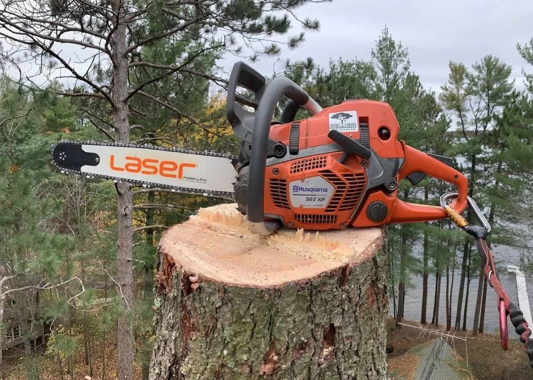 Wellner Arboriculture tree service in Jim Falls, WI