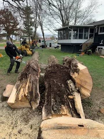 Tree service by Wellner Arboriculture in Thorp, WI