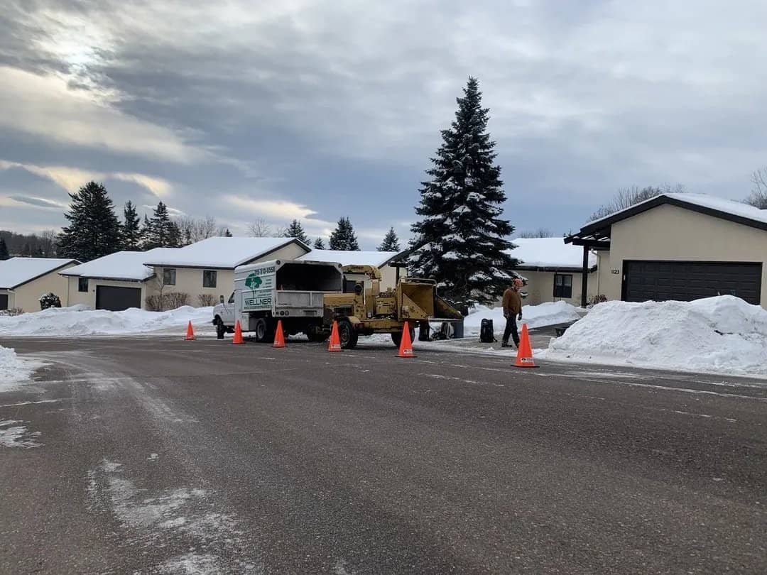 Arborist tree work by Wellner Arboriculture in Augusta, WI