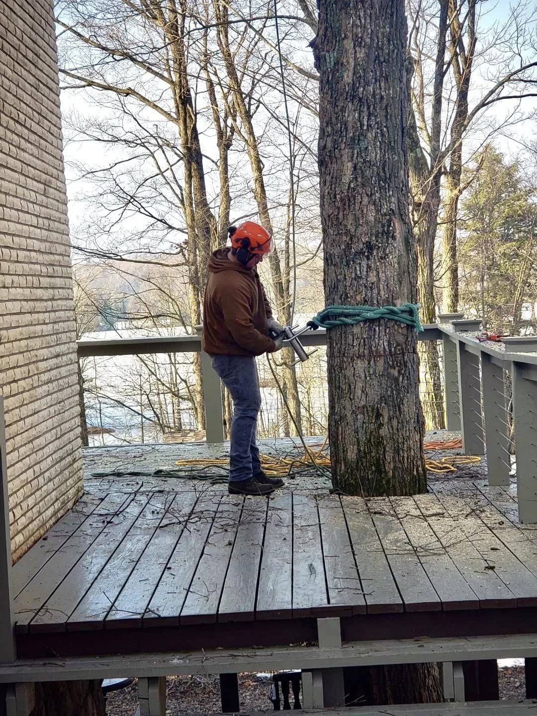 Tree service by Wellner Arboriculture in Elk Mound, WI