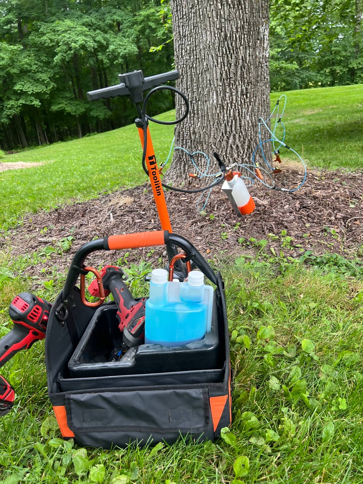 Plant health care treatment by Wellner Arboriculture in Eau Claire, WI