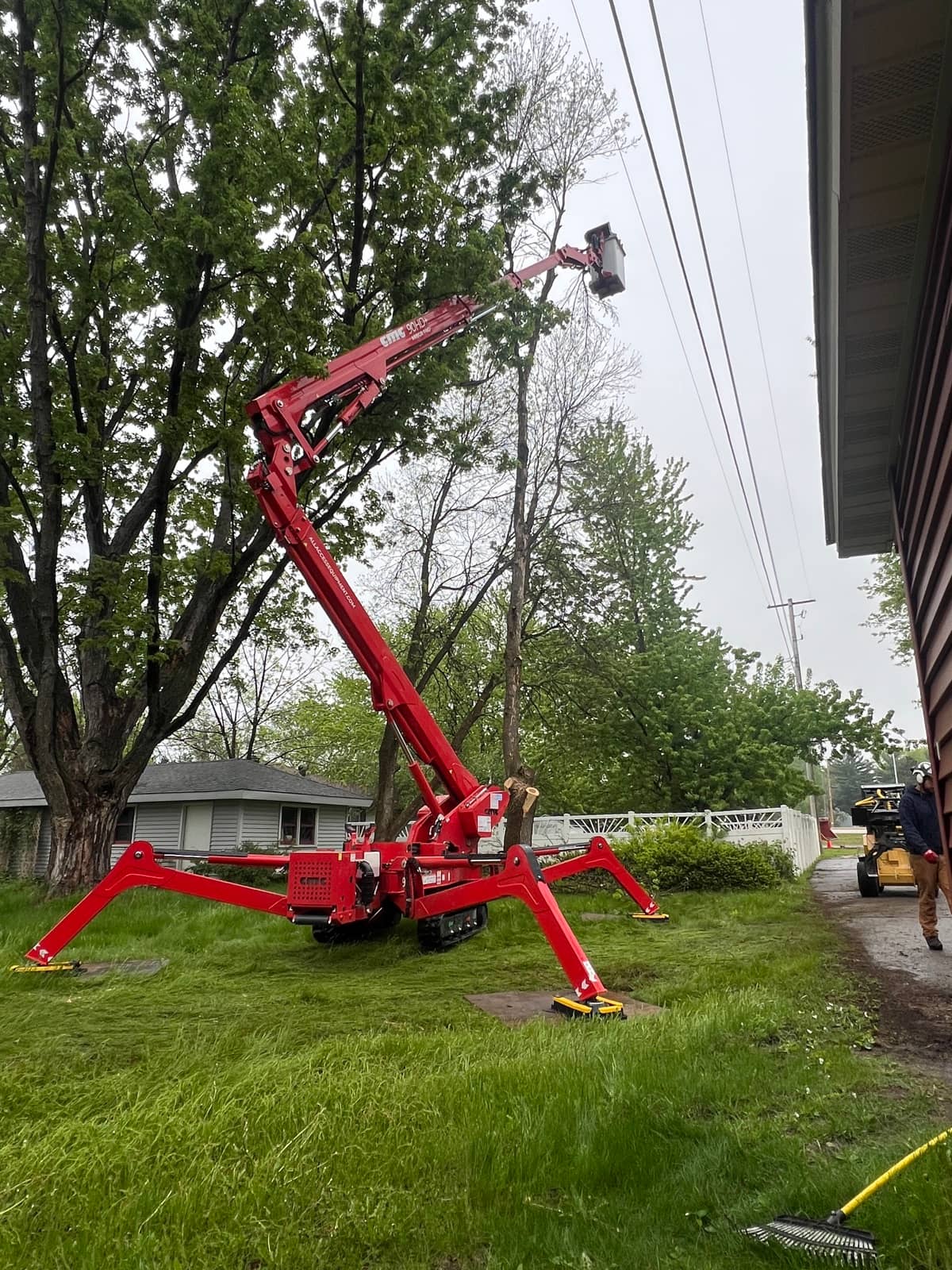 Tree removal by Wellner Arboriculture in Chippewa Falls, WI