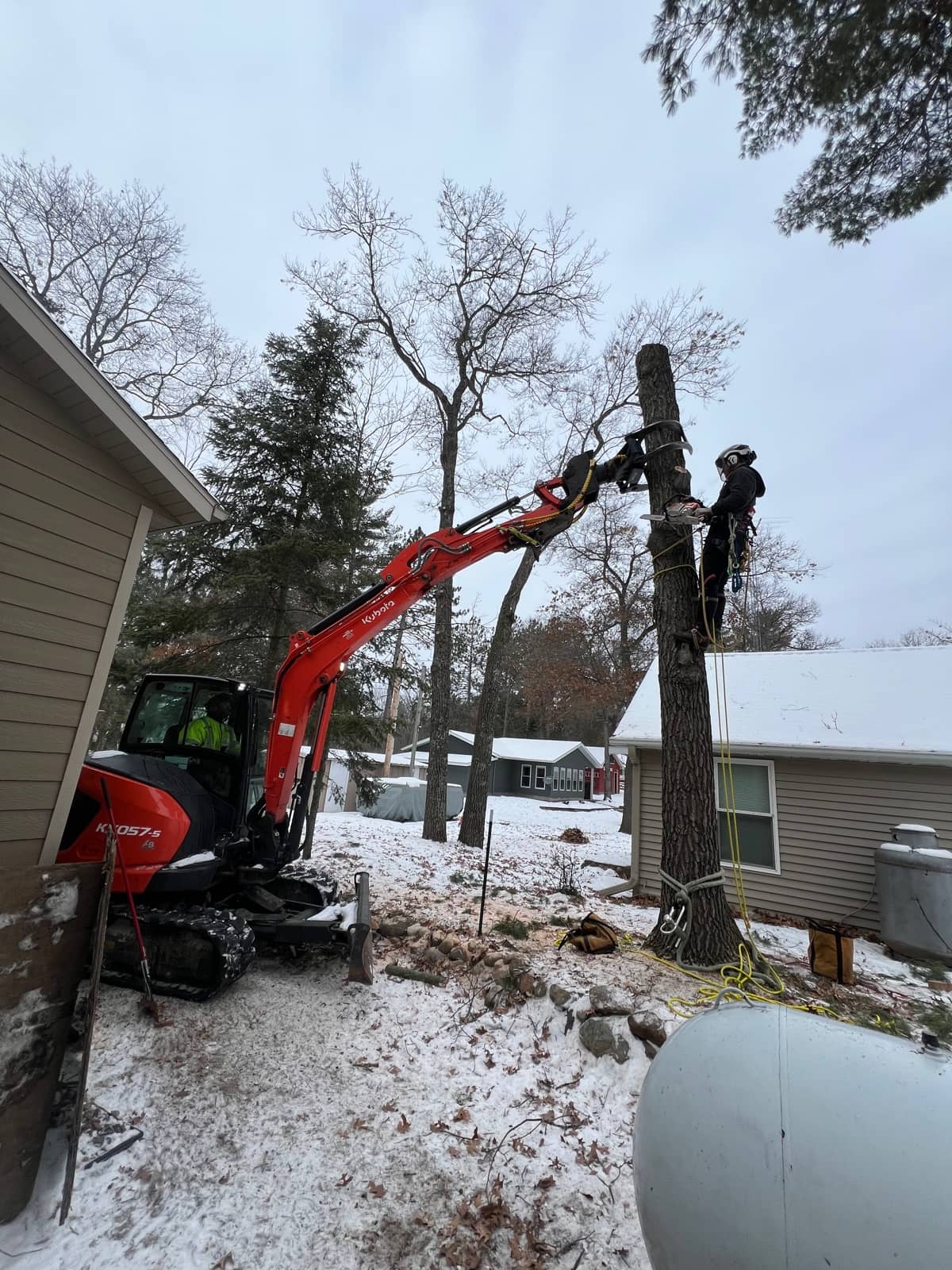Wellner Arboriculture tree service in Lake Hallie, WI