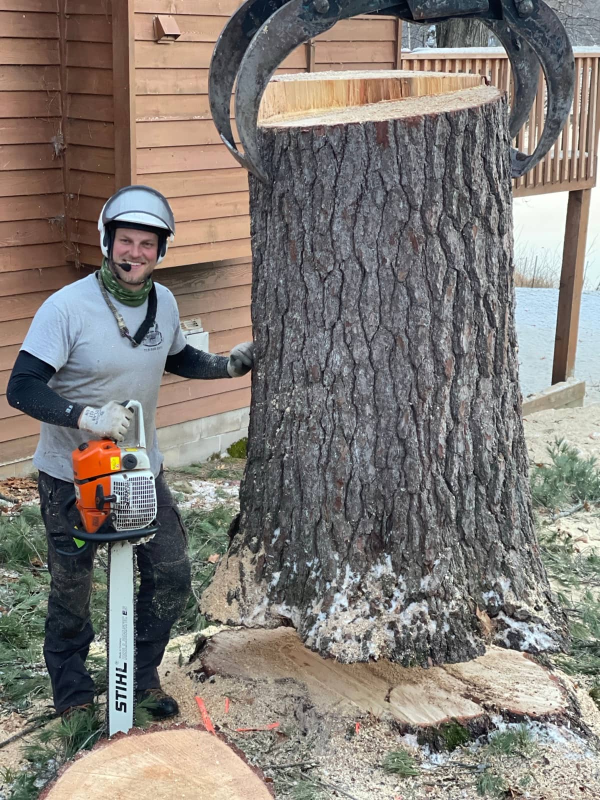Tree care by Wellner Arboriculture in Cadott, WI