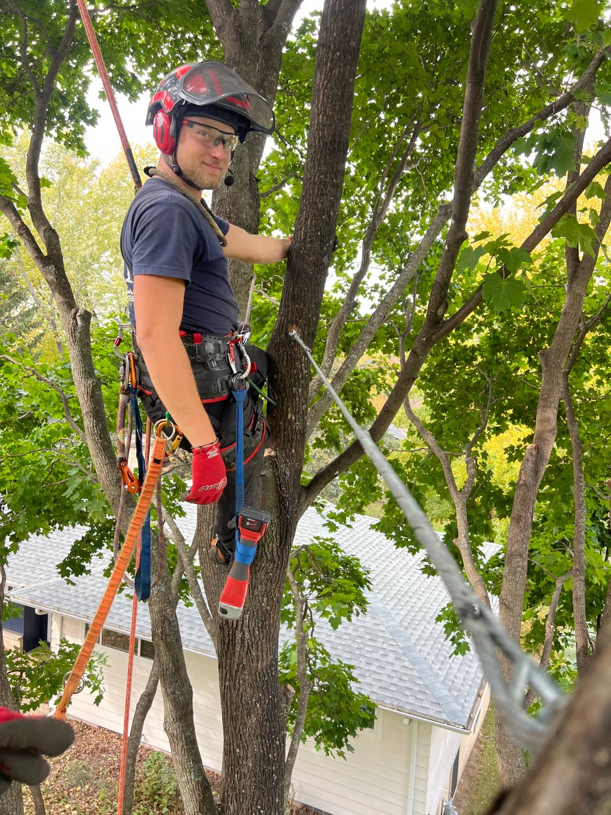 Arborist tree work by Wellner Arboriculture in Cornell, WI