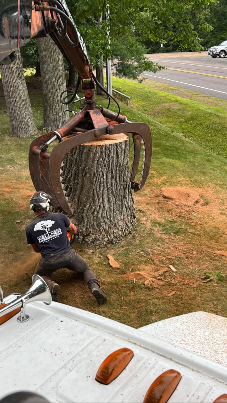 Tree removal by Wellner Arboriculture in Holcombe, WI