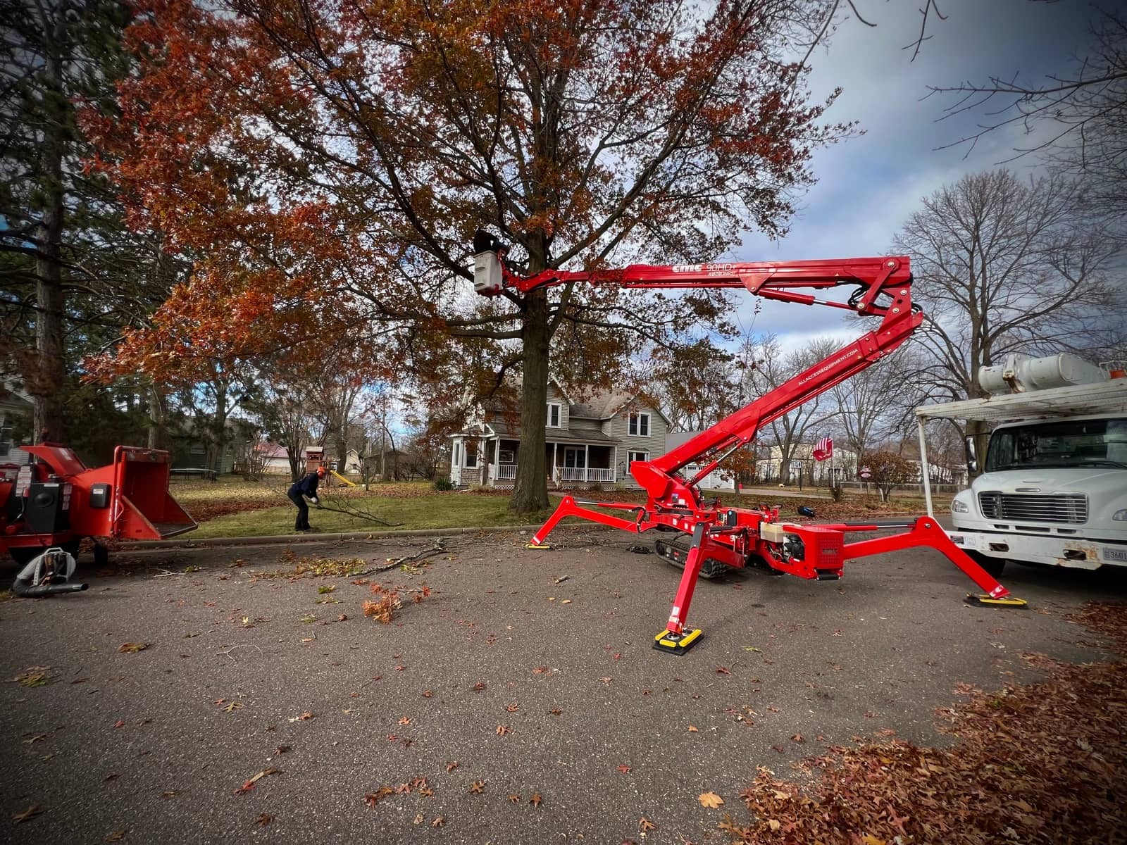 Tree and shrub pruning by Wellner Arboriculture in Osseo, WI