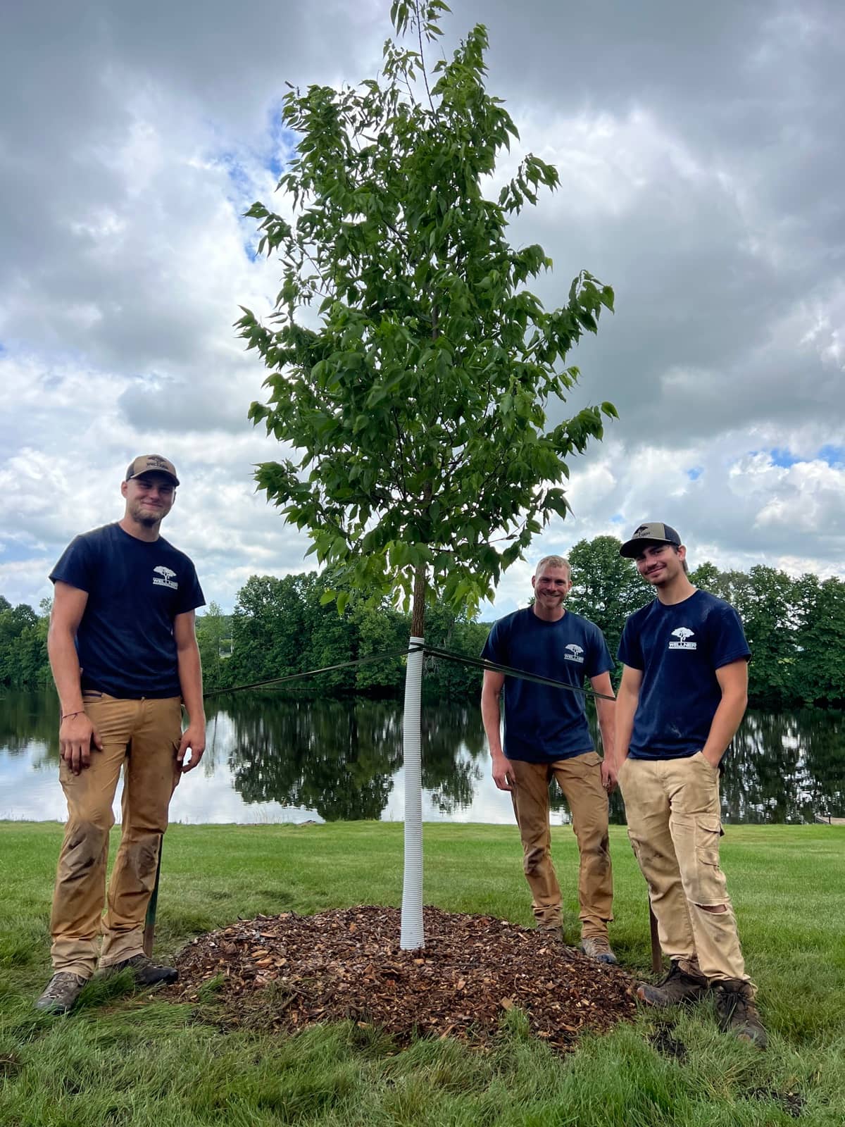 Tree and shrub planting by Wellner Arboriculture in Augusta, WI