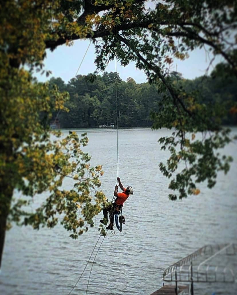 Wellner Arboriculture tree service in Elk Mound, WI