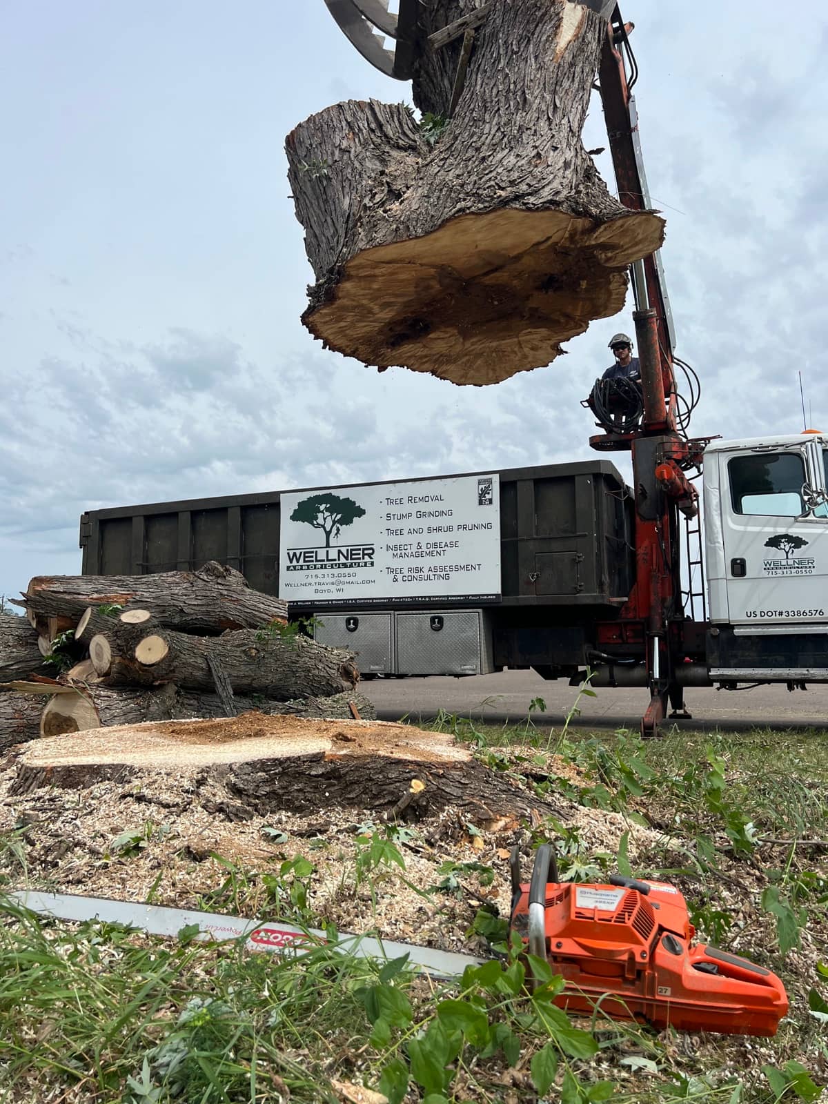 Tree removal by Wellner Arboriculture in Menomonie, WI
