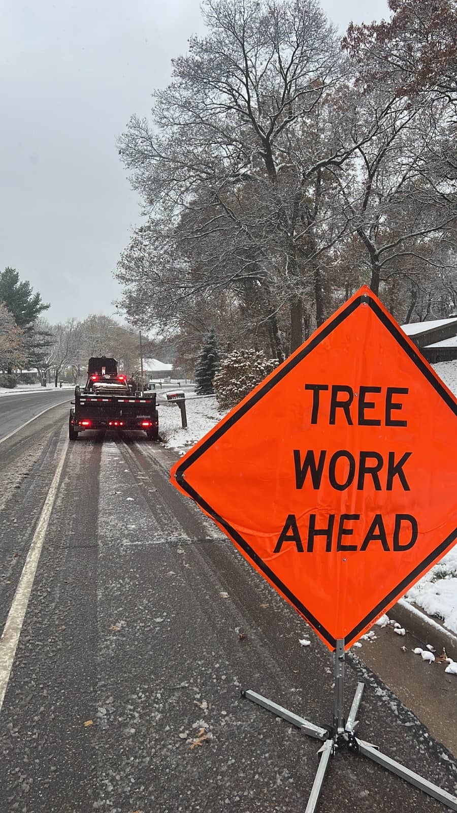 Tree care by Wellner Arboriculture in Gilman, WI