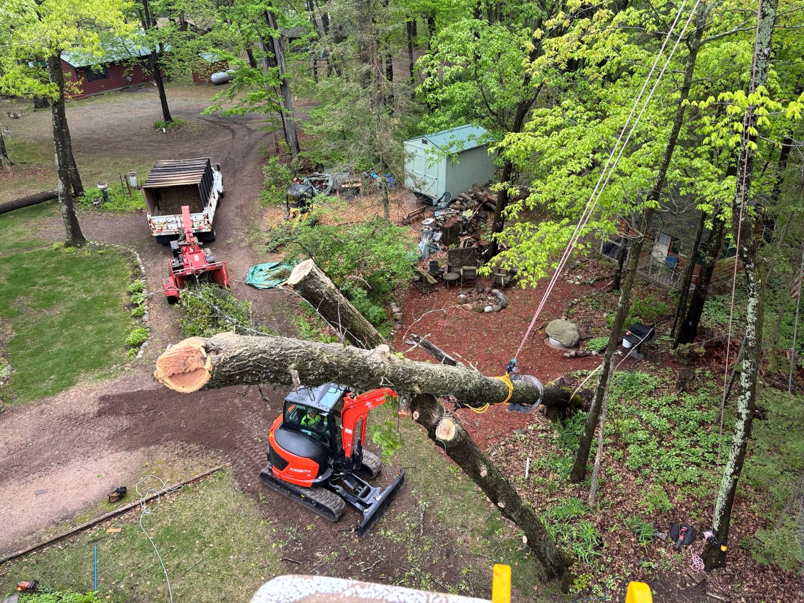 Arborist tree work by Wellner Arboriculture in Fairchild, WI