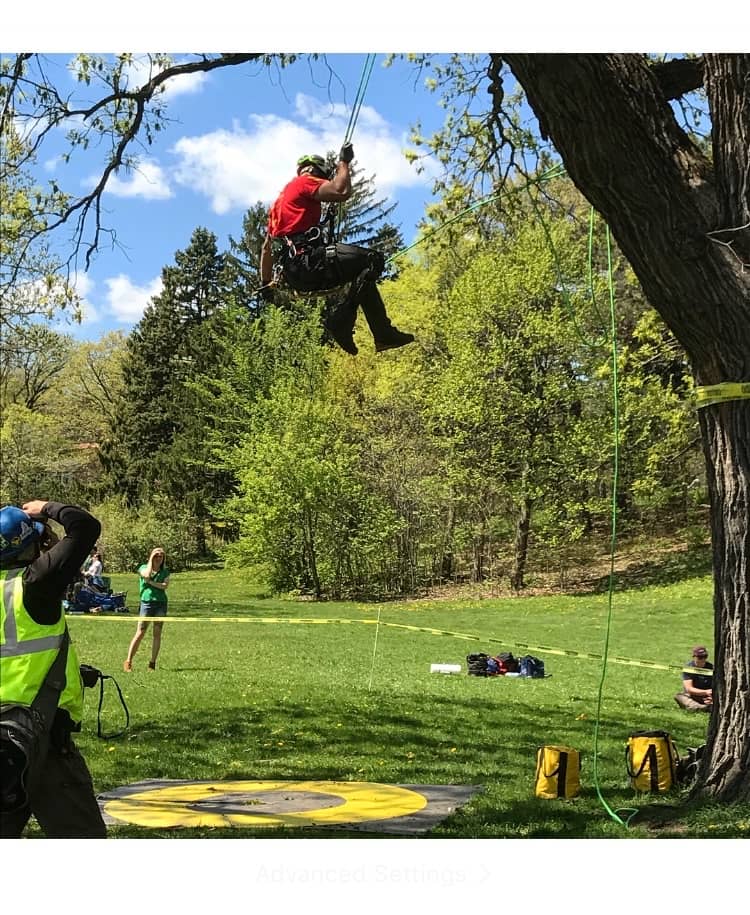 Wellner Arboriculture tree service in Eau Claire, WI