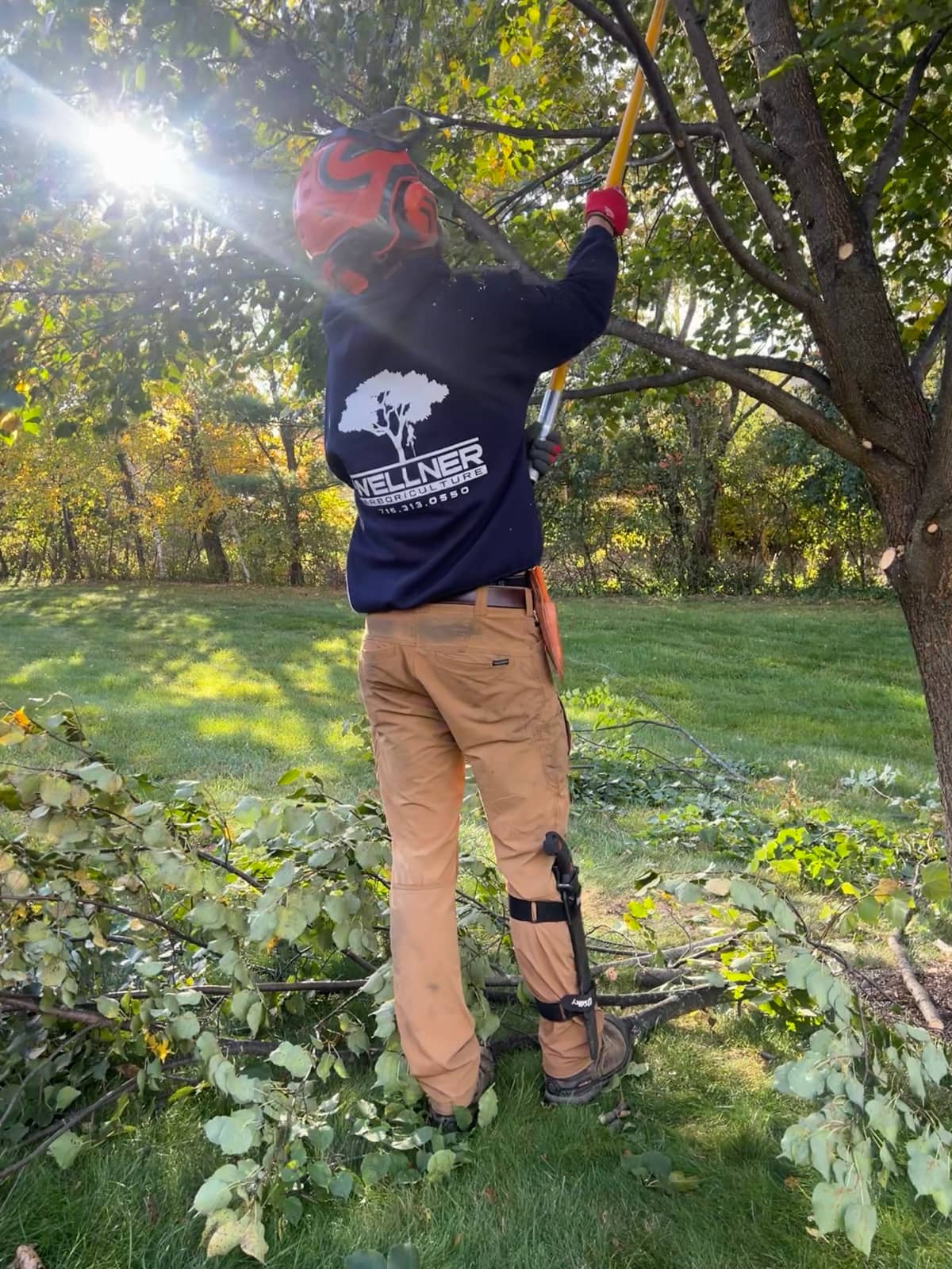 Tree and shrub pruning by Wellner Arboriculture in Chippewa Falls, WI