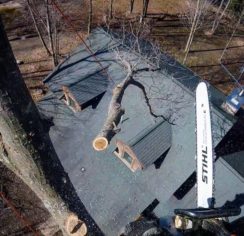 Emergency storm cleanup by Wellner Arboriculture in Lake Hallie, WI