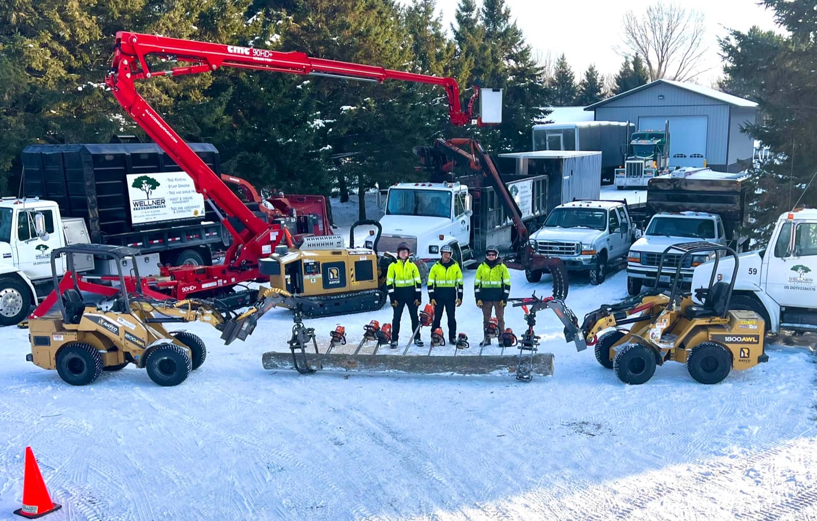Tree care by Wellner Arboriculture in Stanley, WI