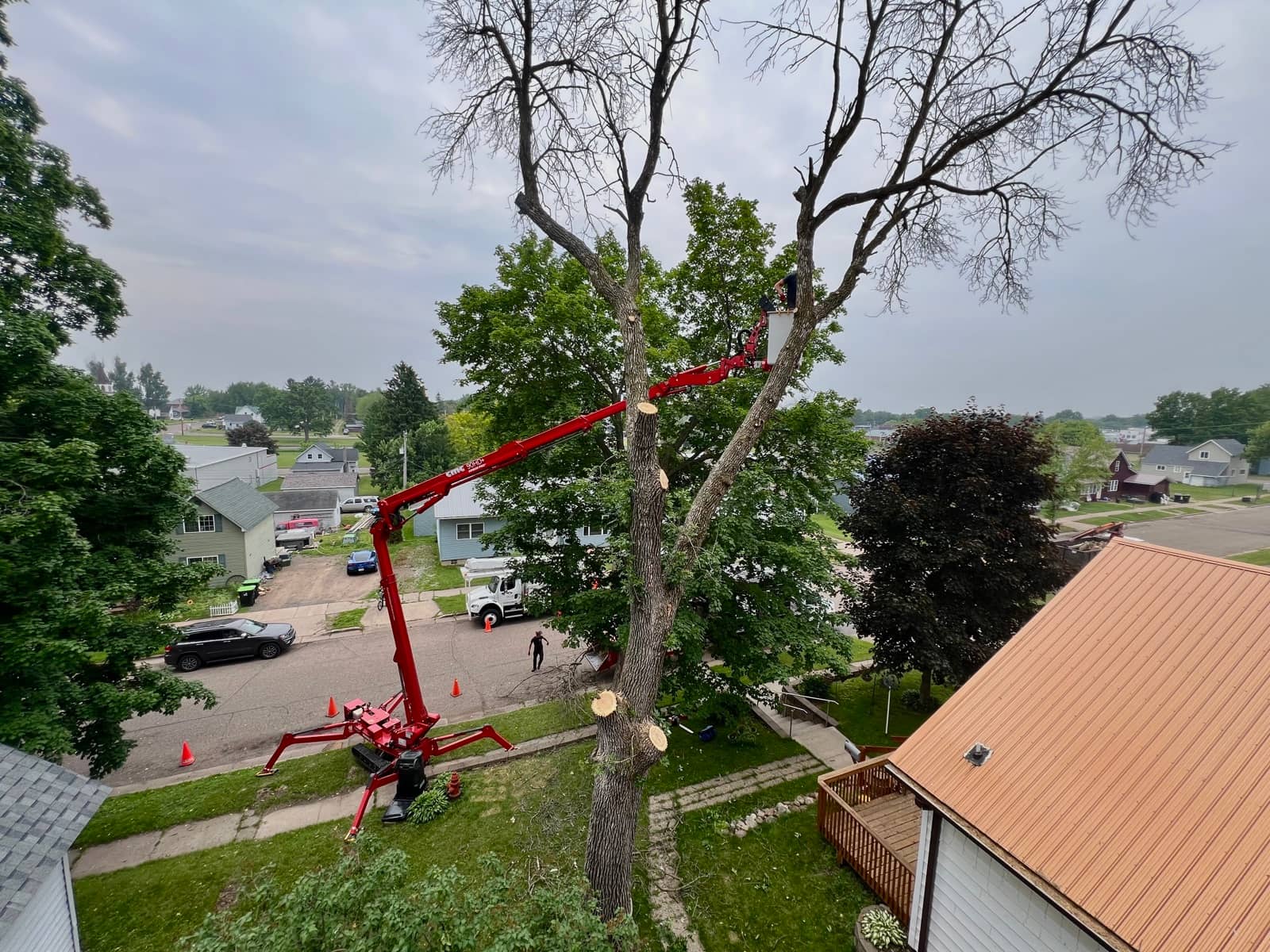 Tree removal by Wellner Arboriculture in Jim Falls, WI