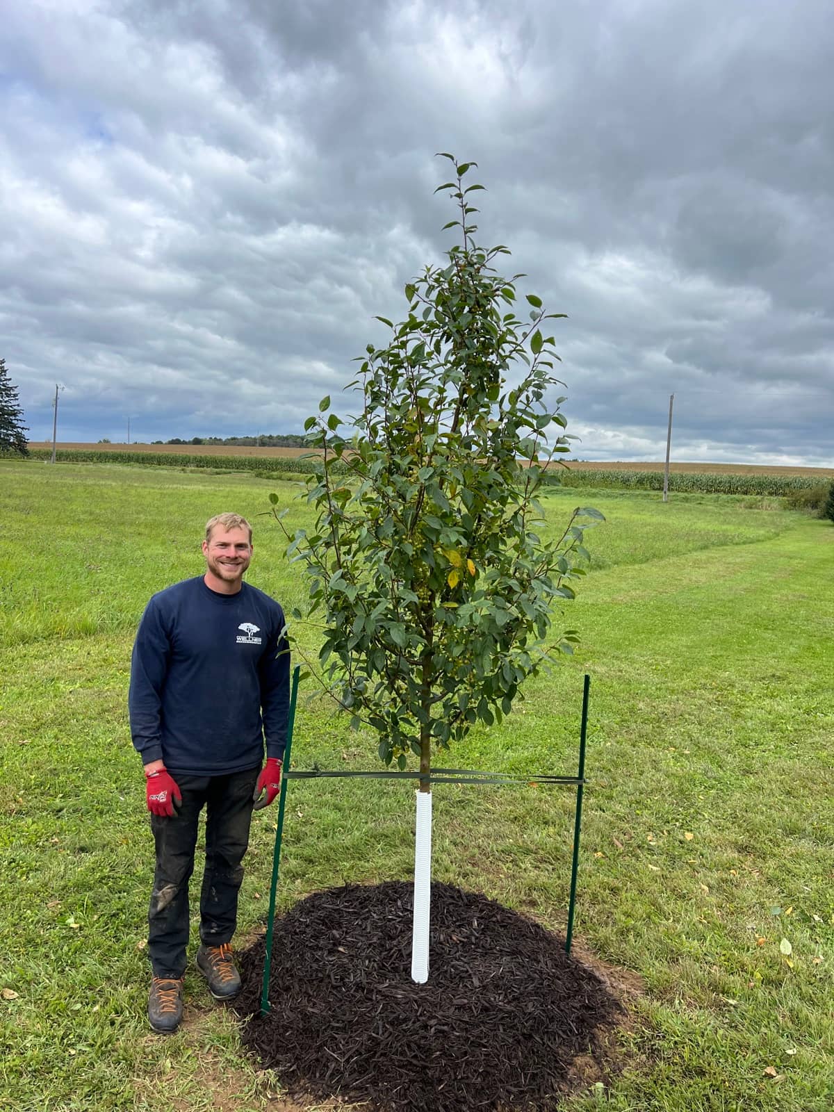 Tree and shrub planting by Wellner Arboriculture in the Chippewa Valley