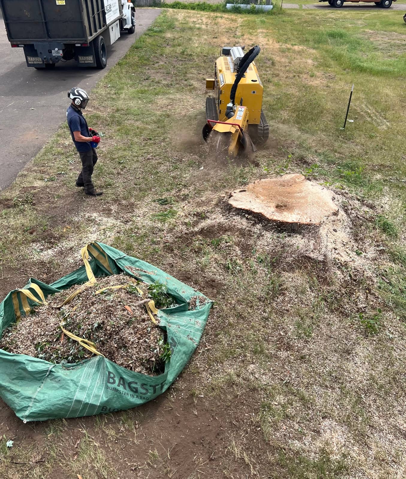 Tree removal by Wellner Arboriculture in Osseo, WI