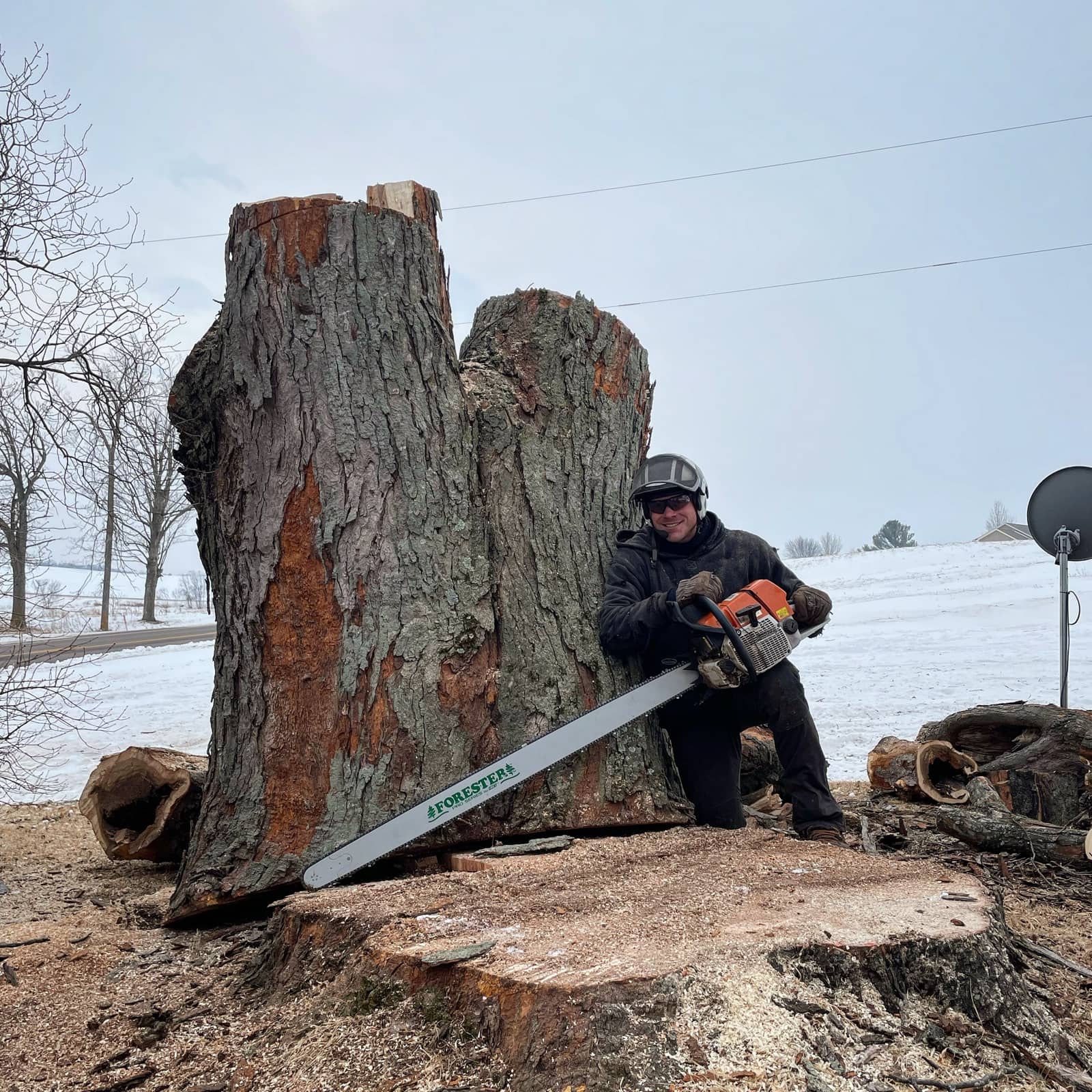 Tree removal by Wellner Arboriculture in Fall Creek, WI