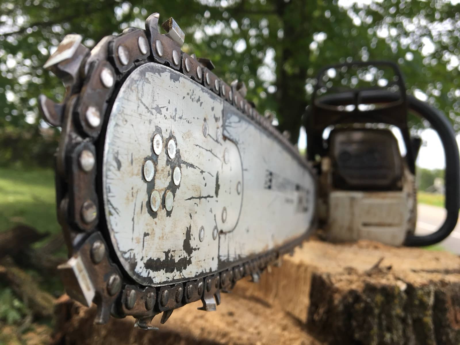 Certified arborist tree work by Wellner Arboriculture in Augusta, WI