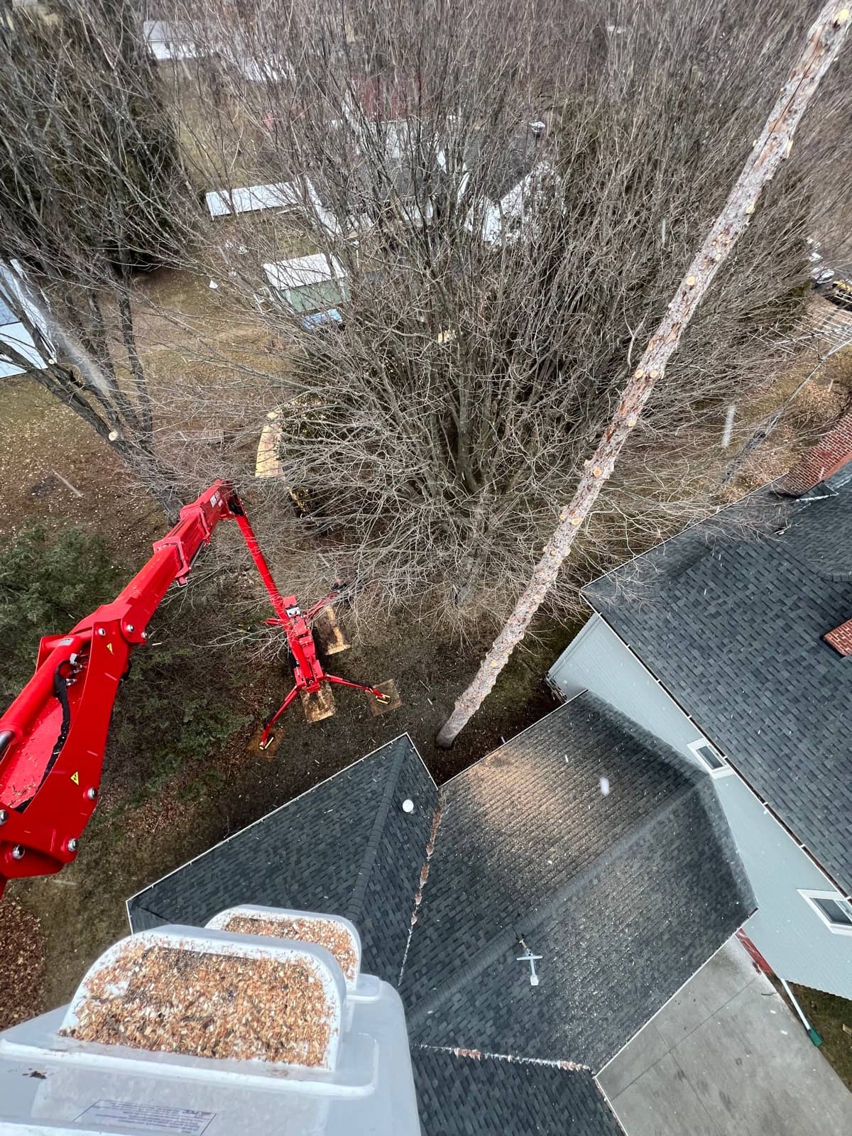 Tree removal by Wellner Arboriculture in Menomonie, WI