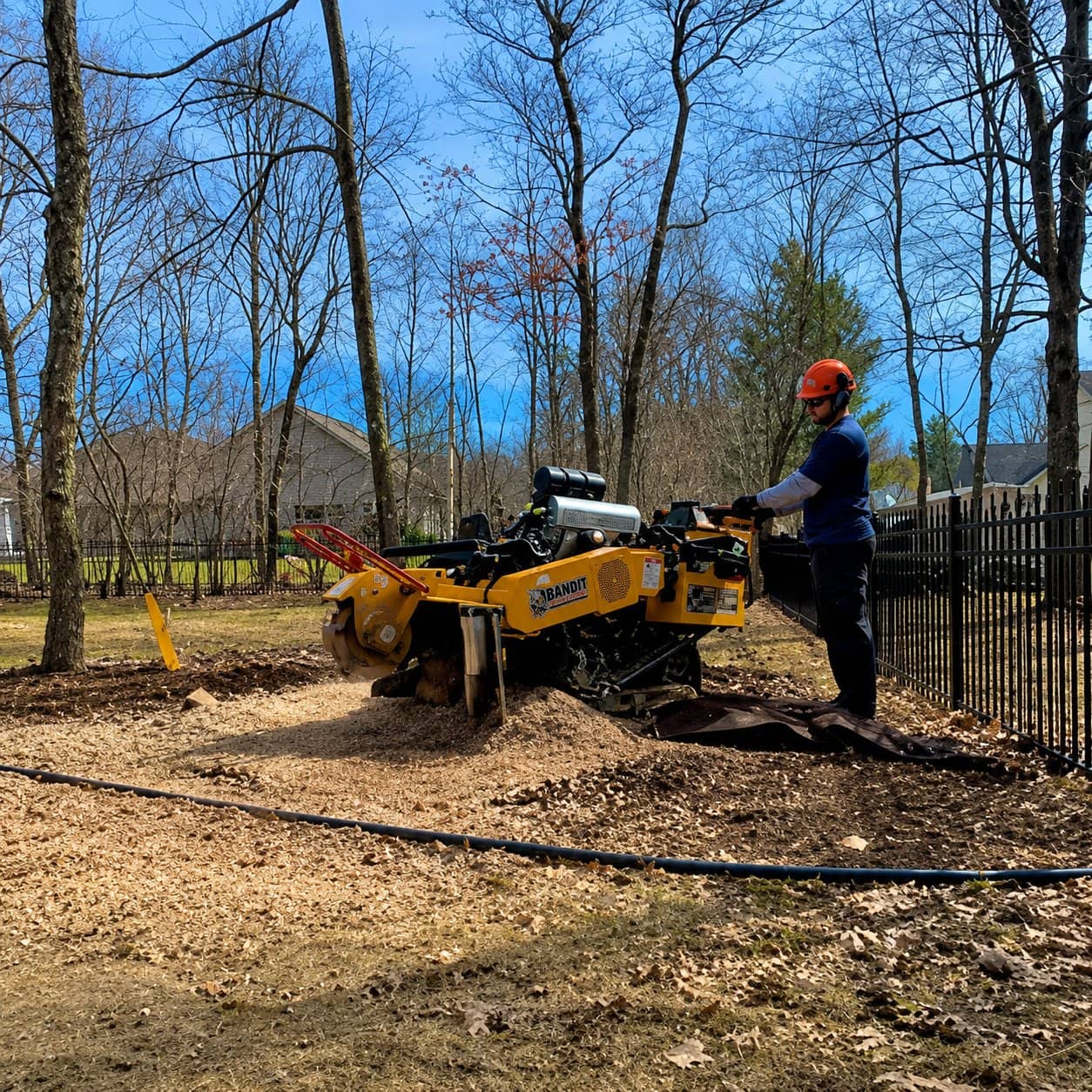 Wellner Arboriculture tree service in Augusta, WI