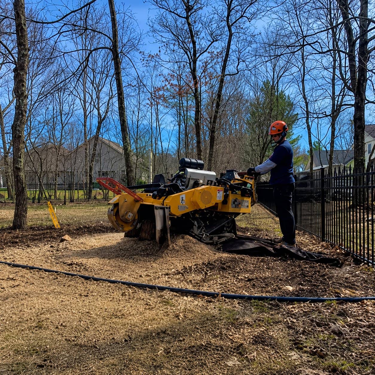 Stump Removal