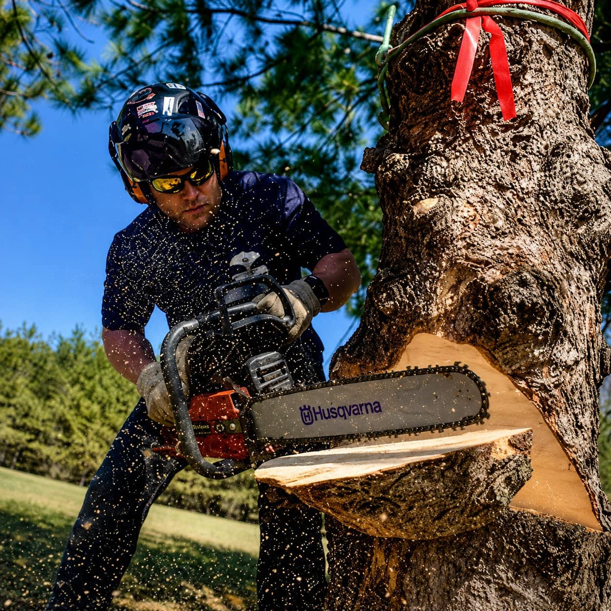 Wellner Arboriculture tree service in Fairchild, WI